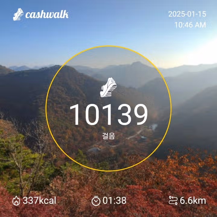인증