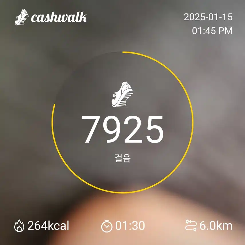 인증