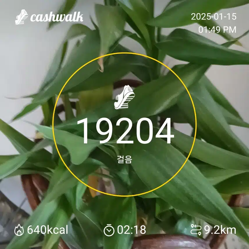 인증 