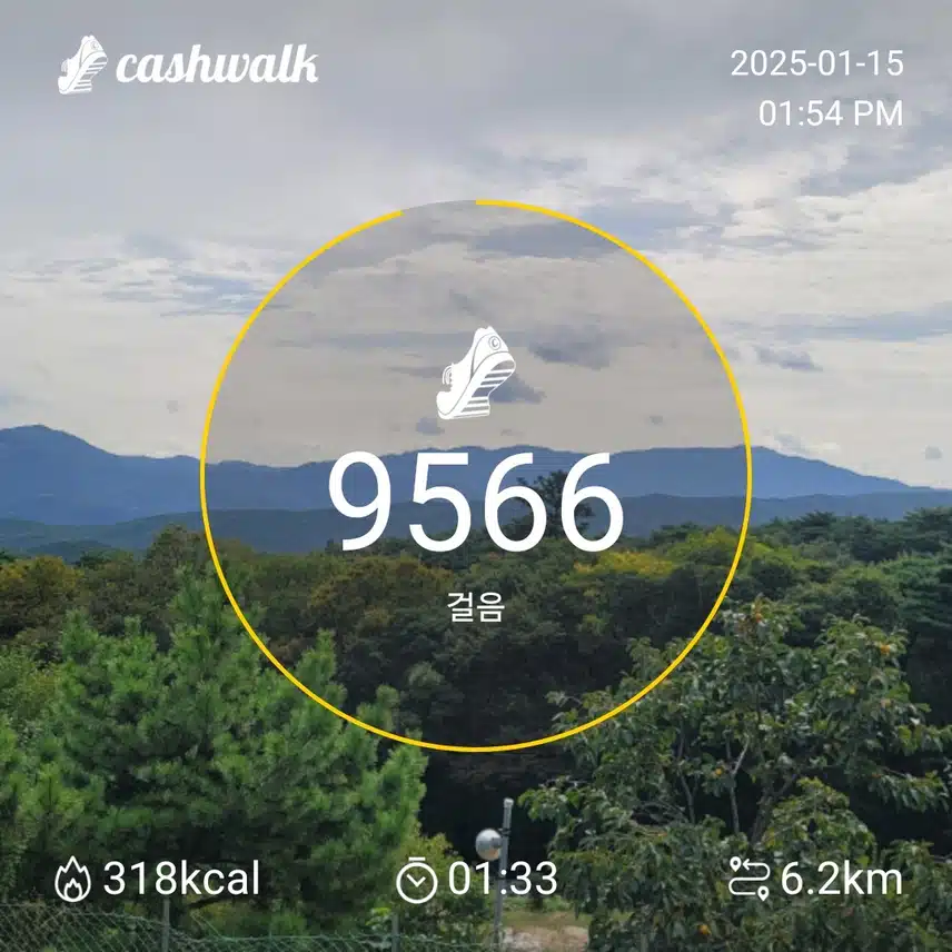 인증 