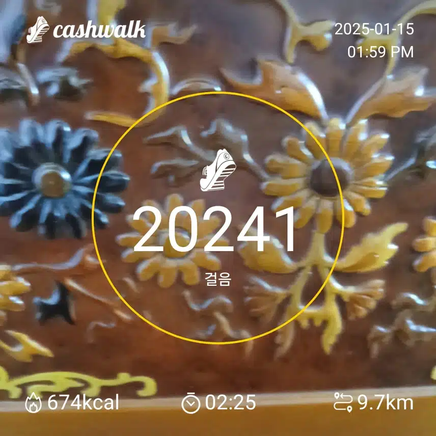 하루6천보걷기 