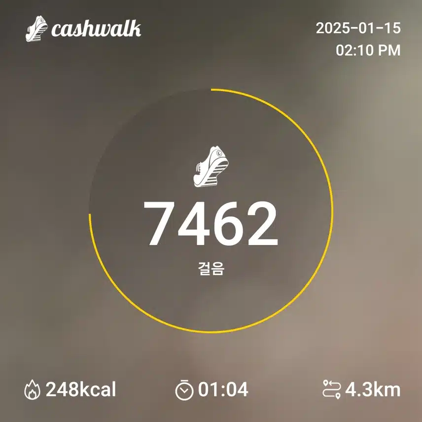 인증