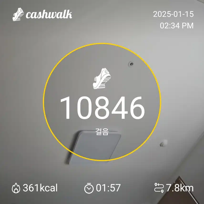 인증
