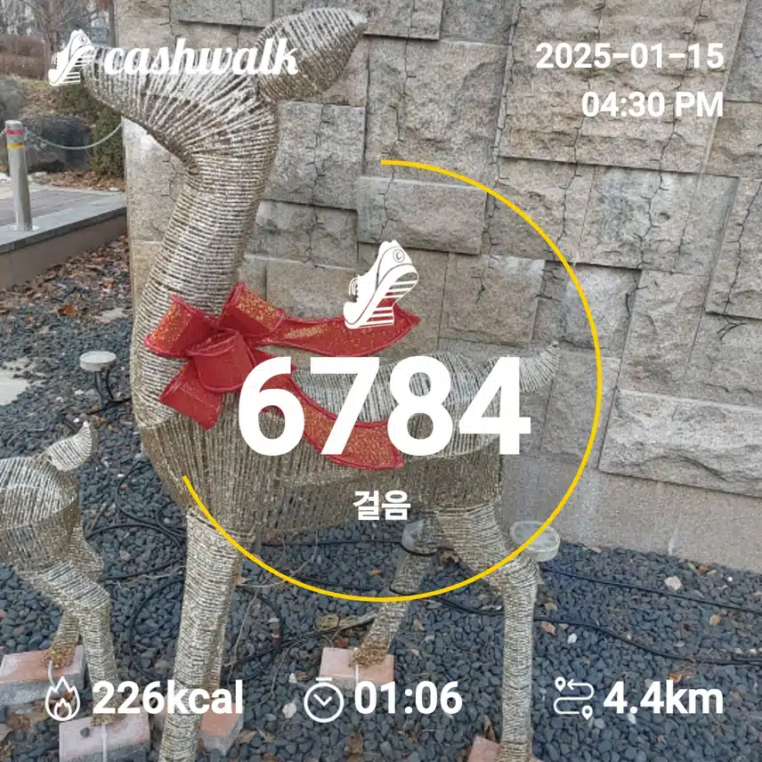 인증