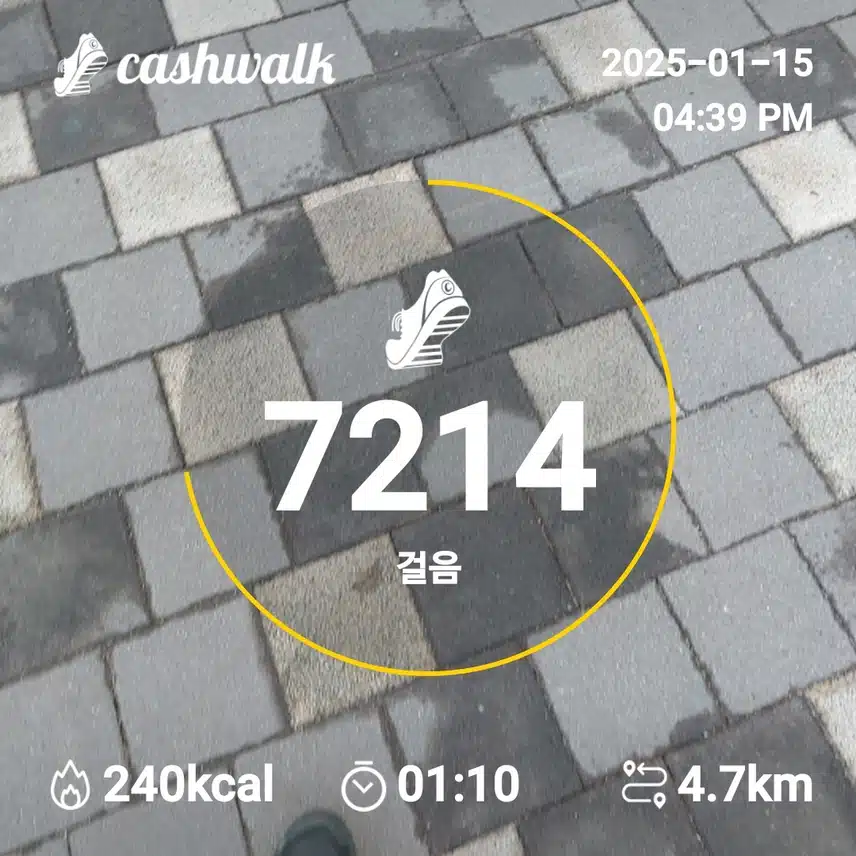 인증