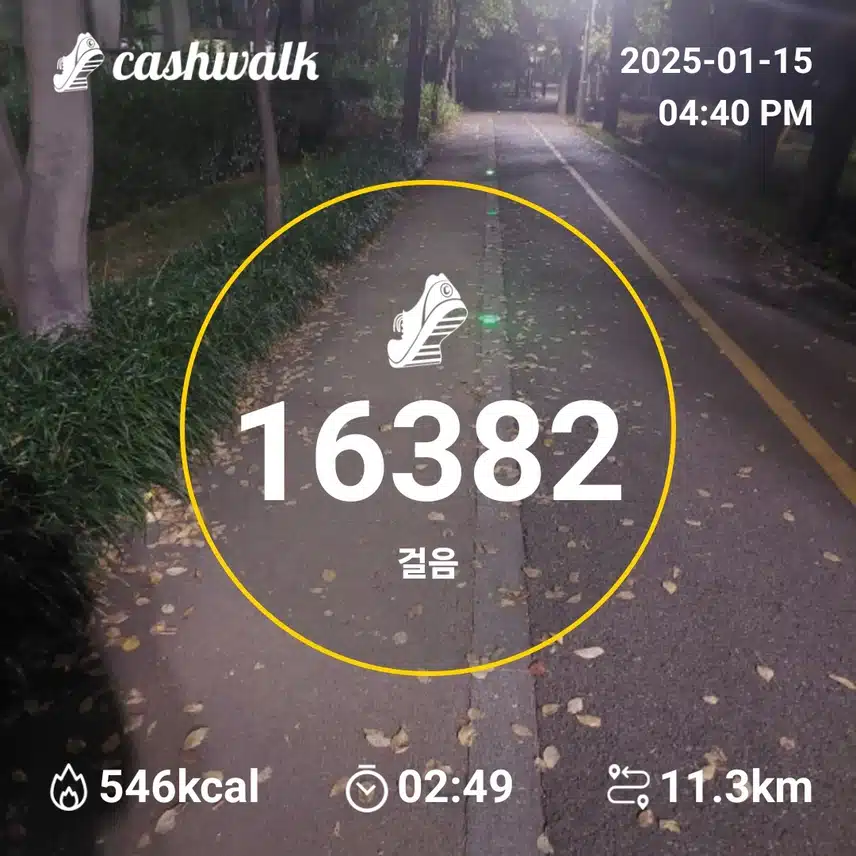 인증 3일차 