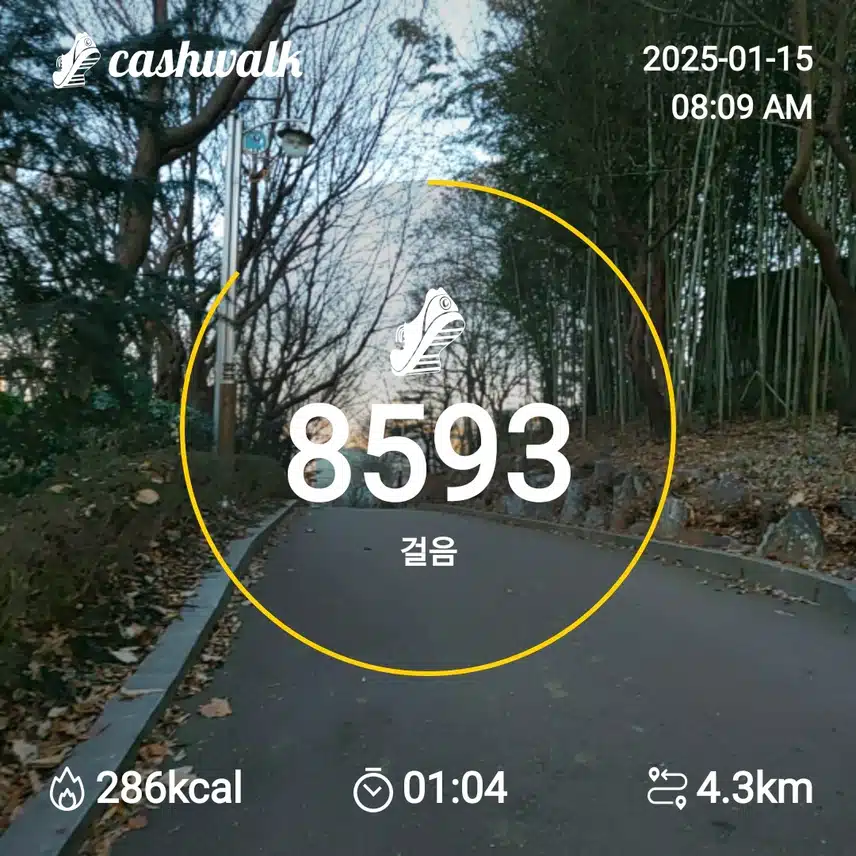 인증