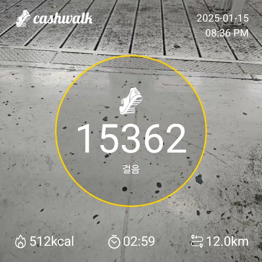 인증