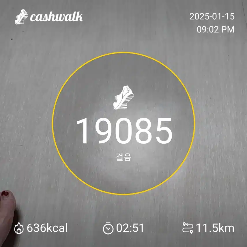 인증