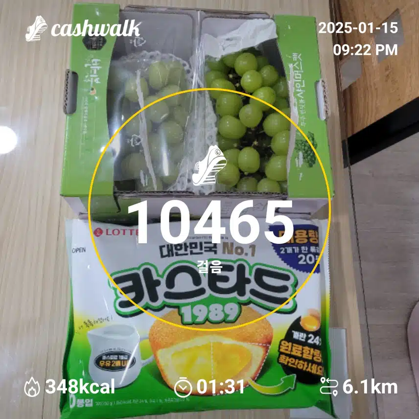 인증