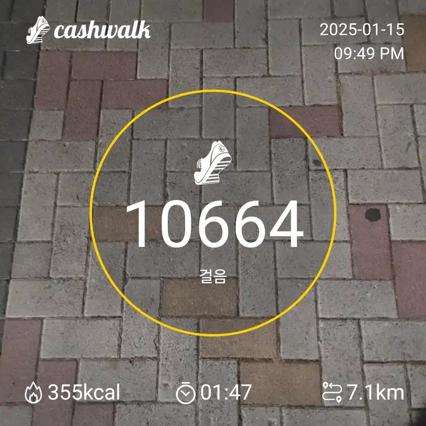 인증