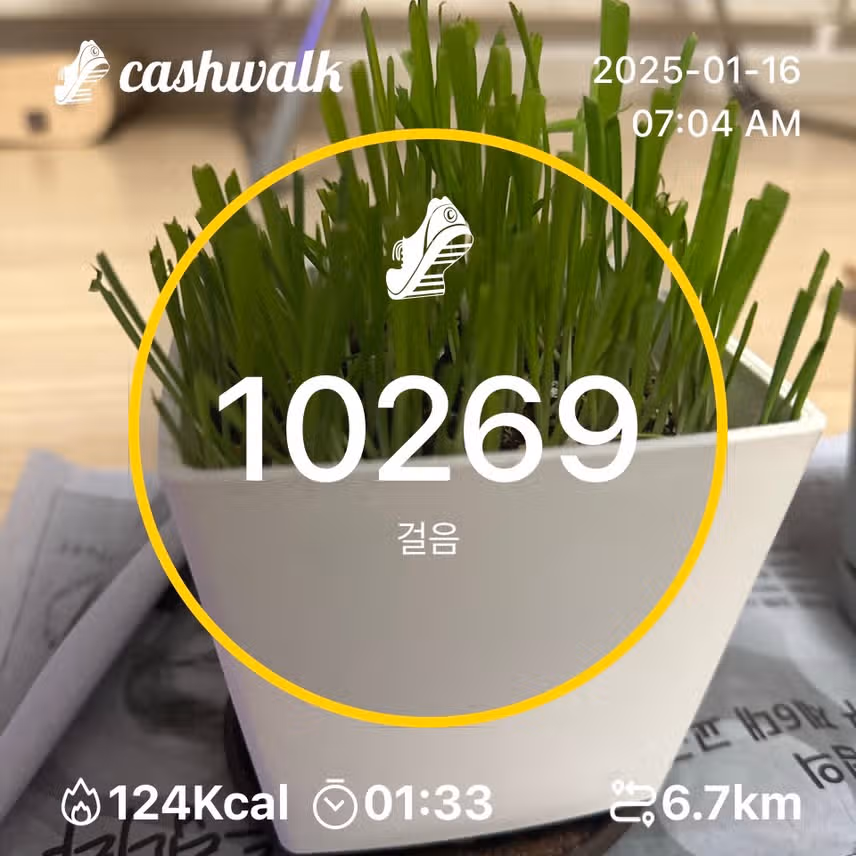 인증