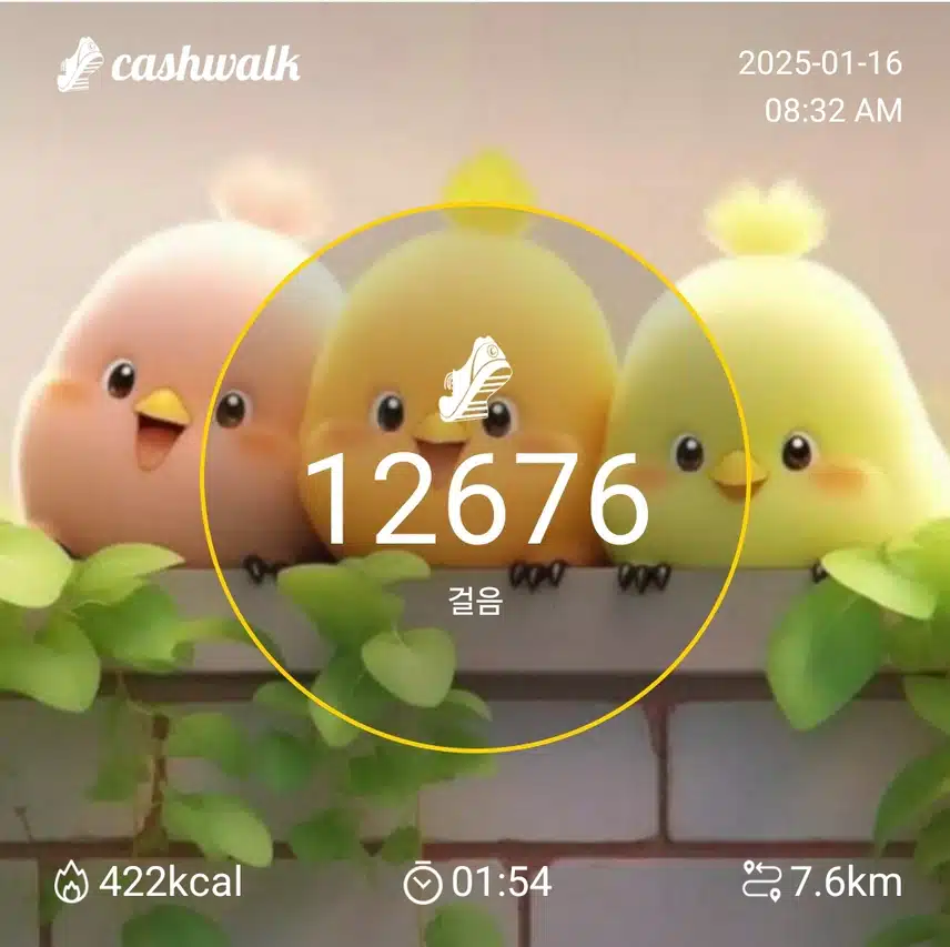 인증