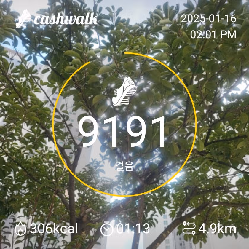 인증 밸런스핏