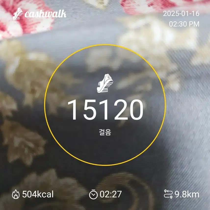 완료