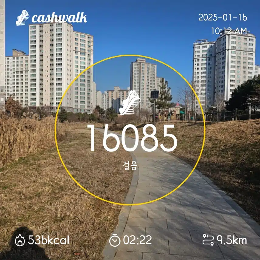 인증