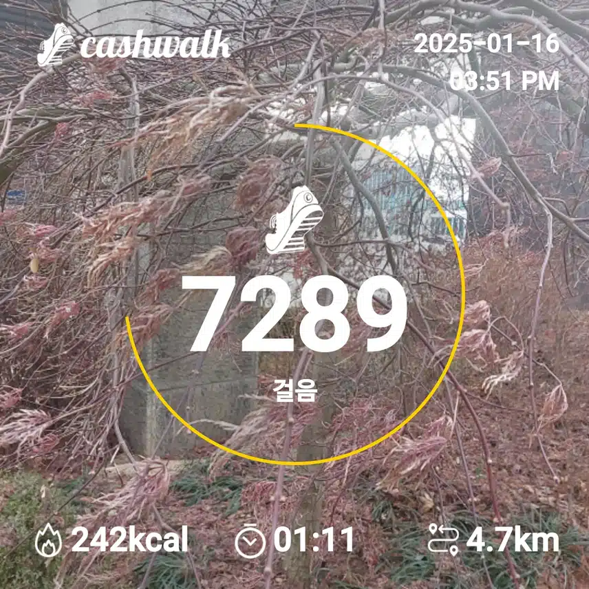 인증