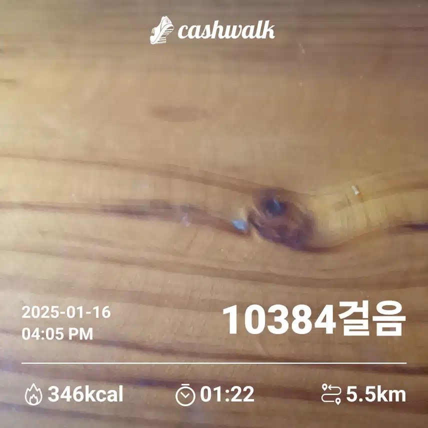 인증