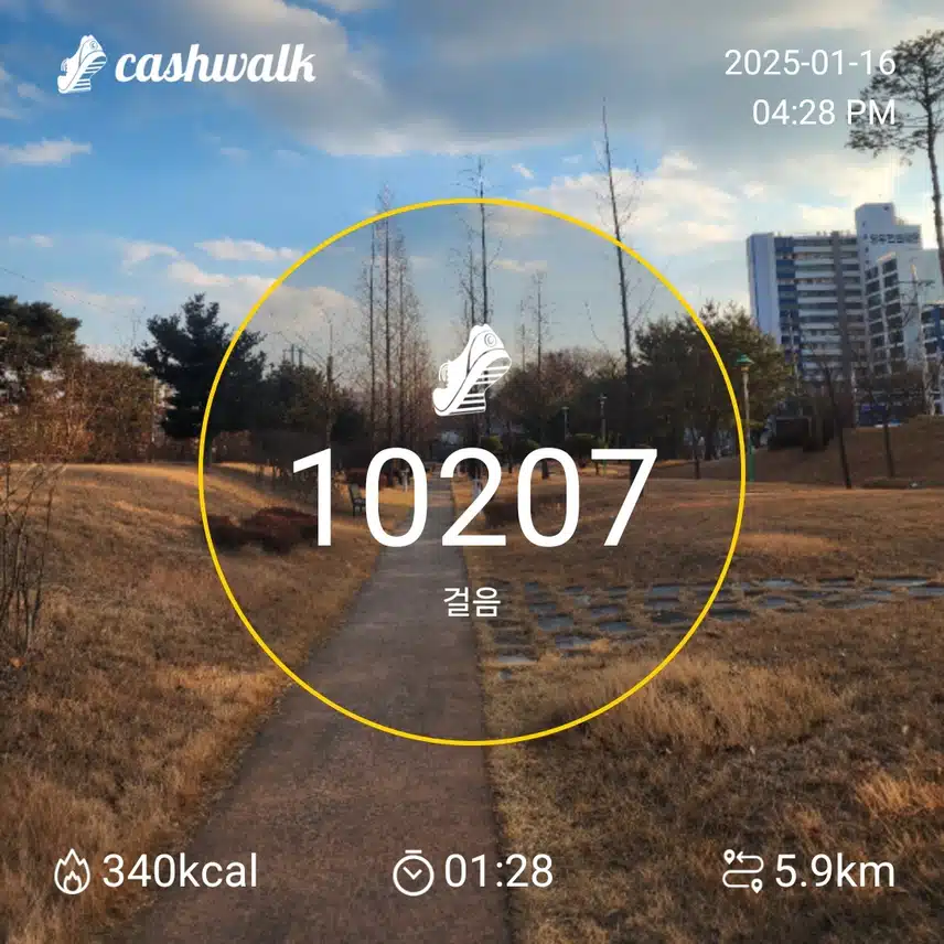 인증