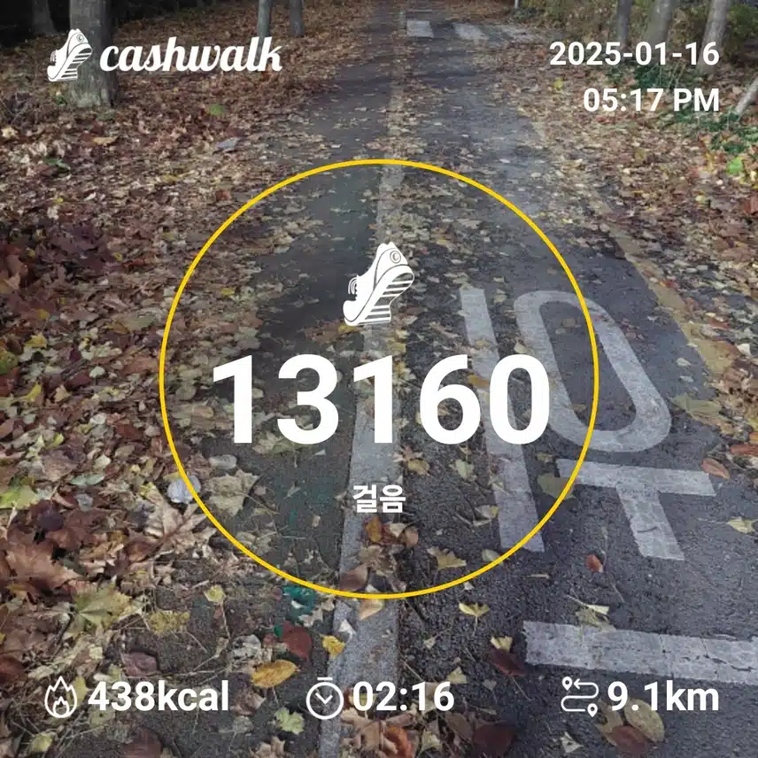 인증 4일차 