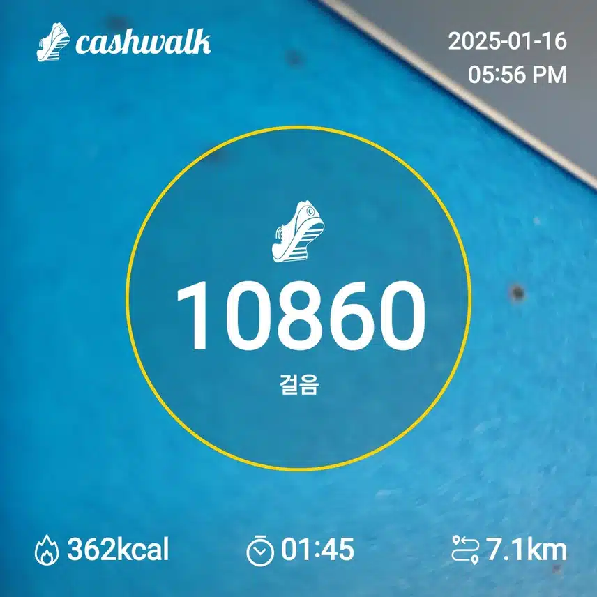인증