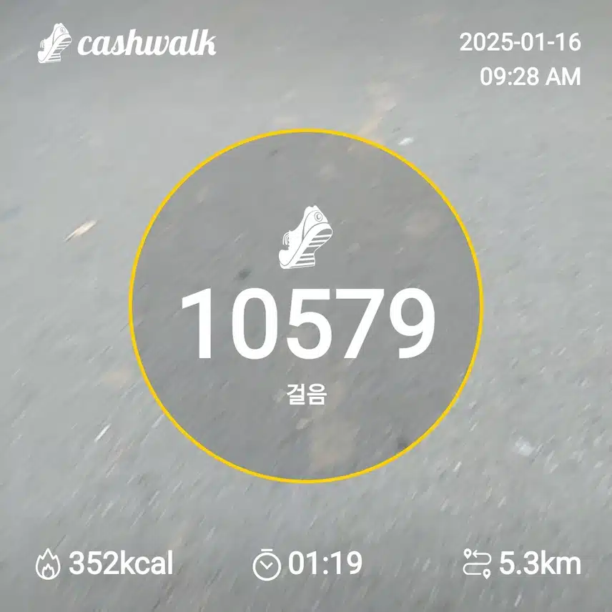 인증