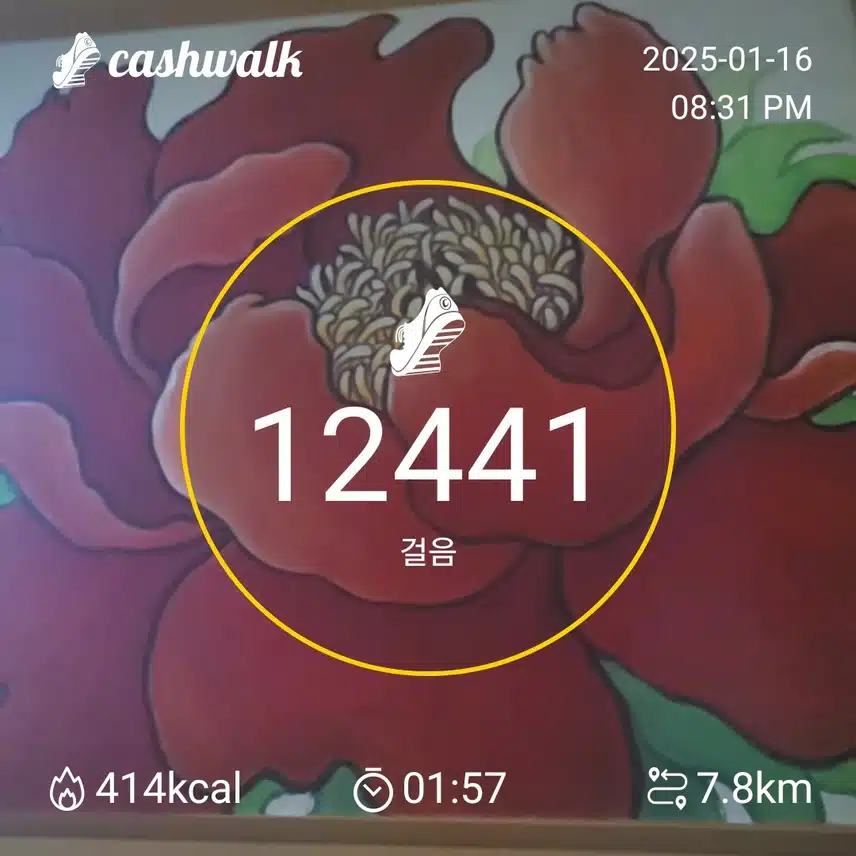 열심히 걷기 