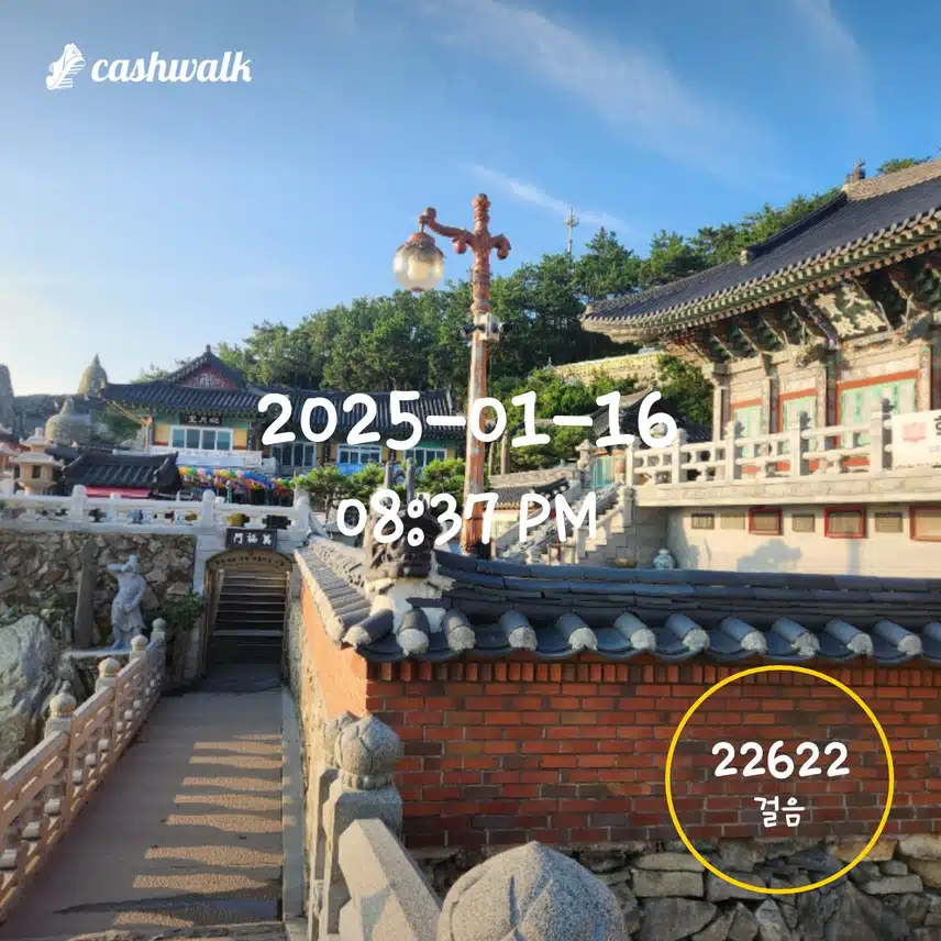 명절 산양산삼 하루 7천보 4일차 인증