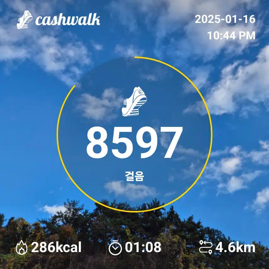 인증