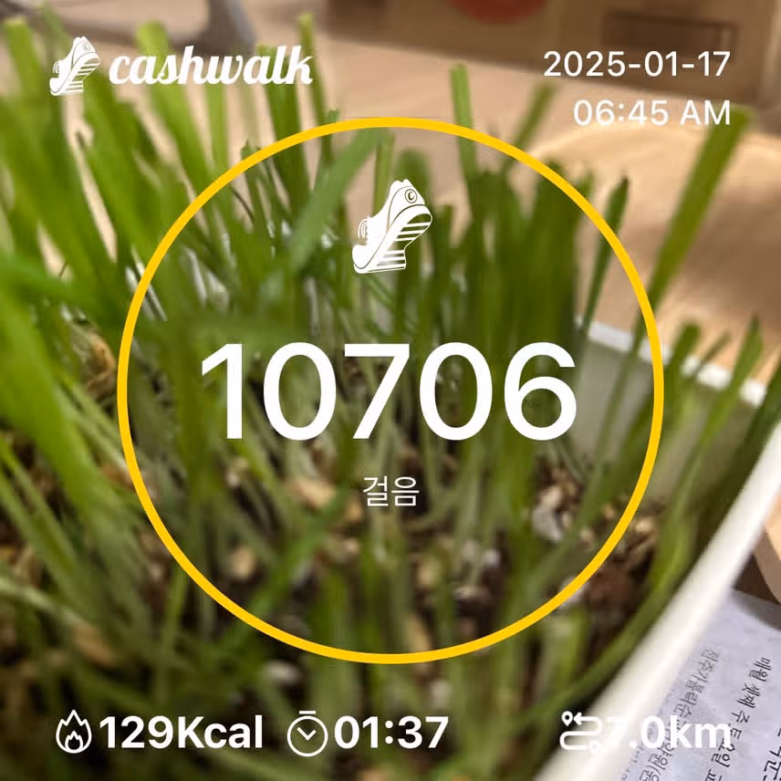 인증