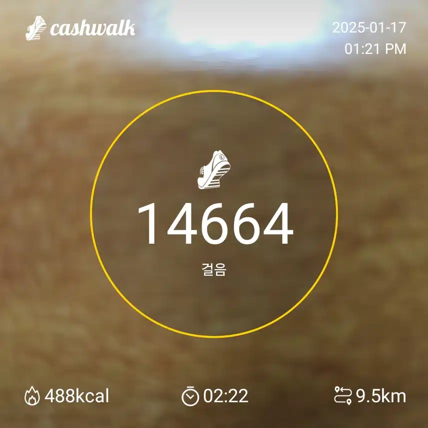 완료