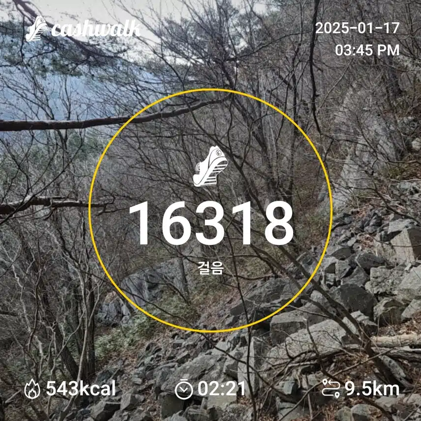 인증