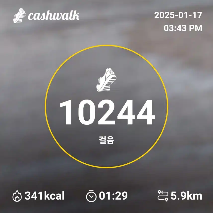 걷기인증