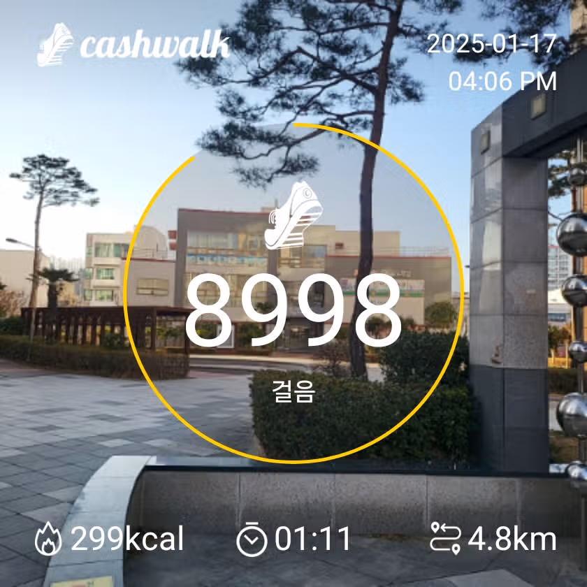 밸런스핏 인증 