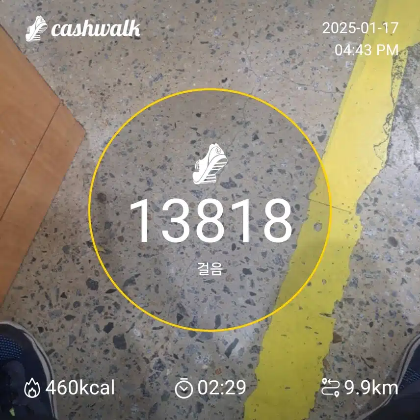 인증 