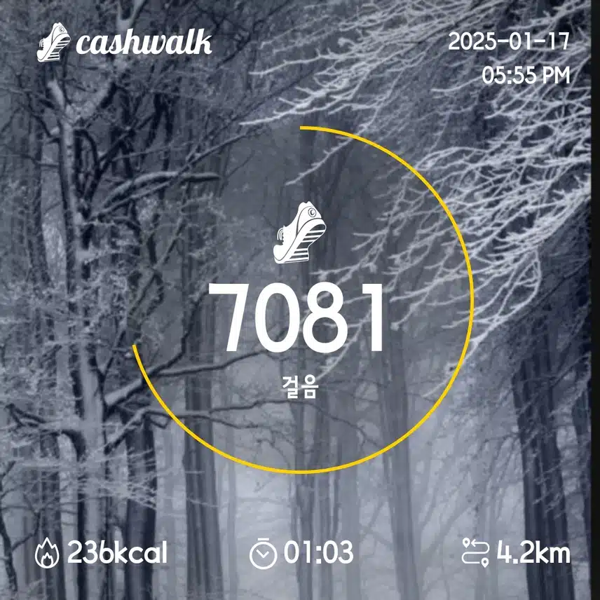 5일차 