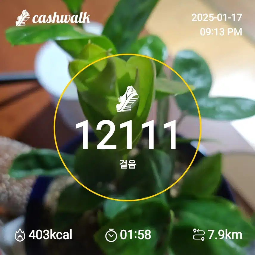 인증