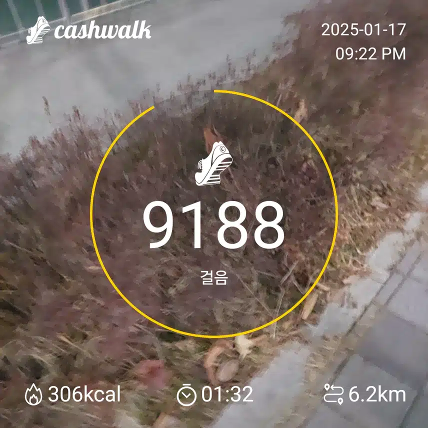 인증