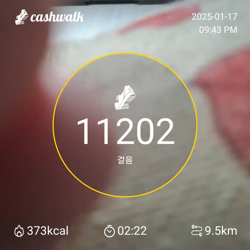 인증