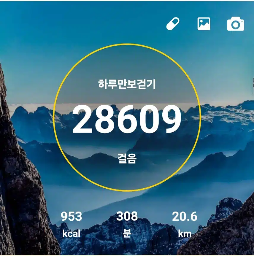 명절산양산삼침향환하루7천보걷기챌린지5일차인증샷