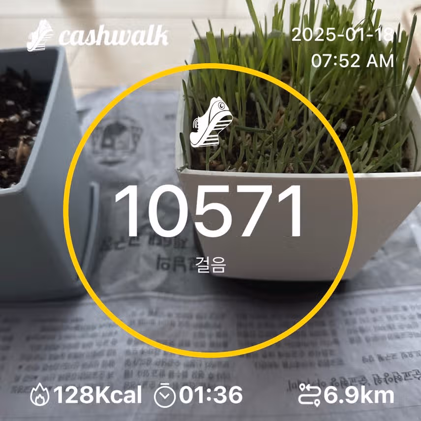 인증