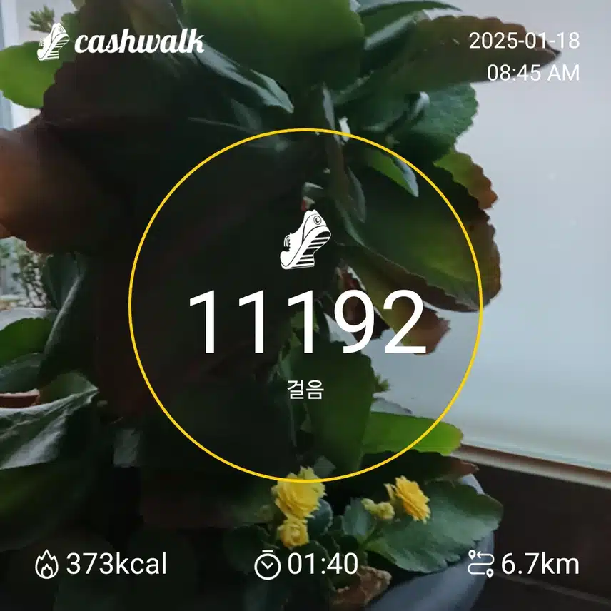 참향환 7천보
