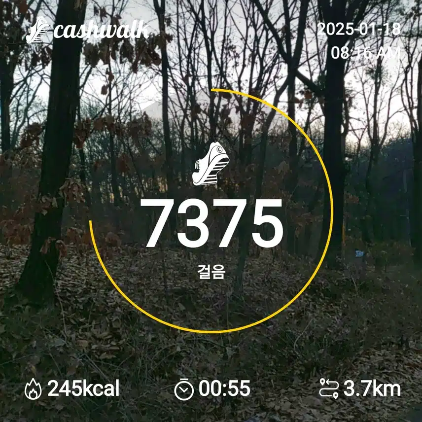 인증