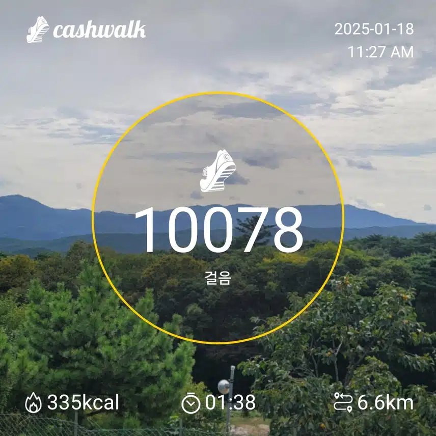 인증 