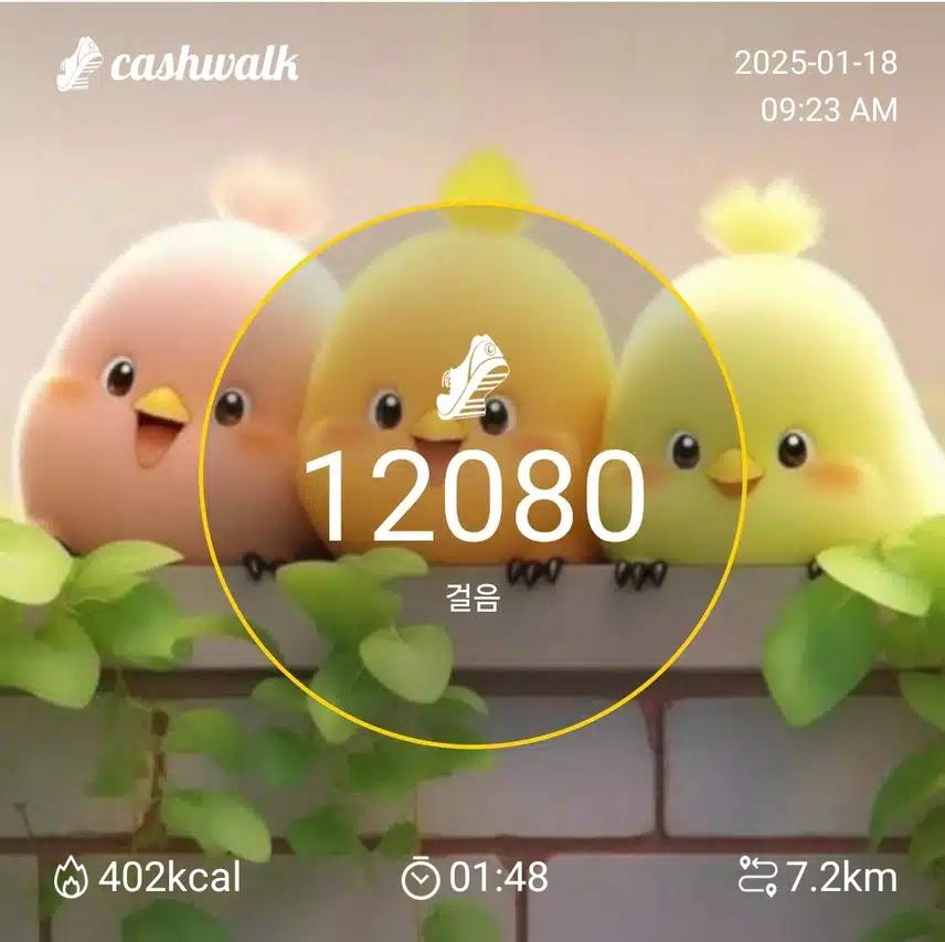 인증