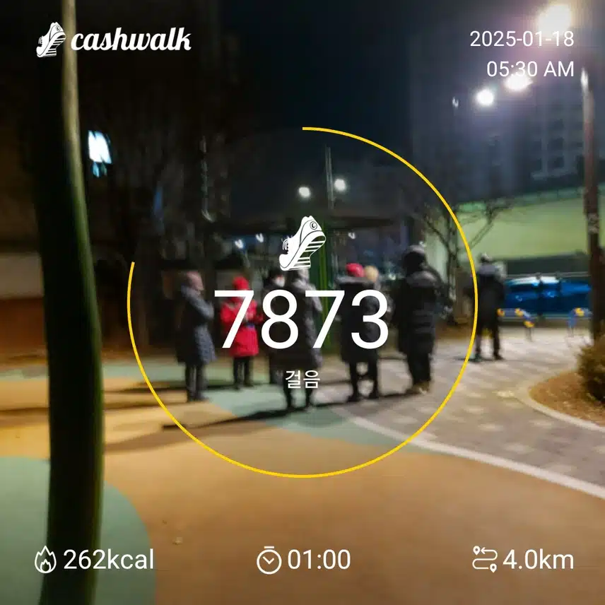 7000 보 걷기