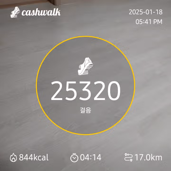 걷기인증 
