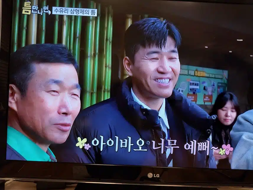 틈만나면 판다멍