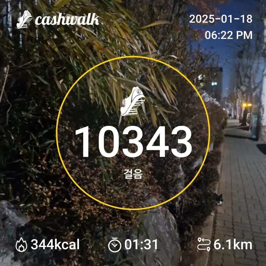 인증