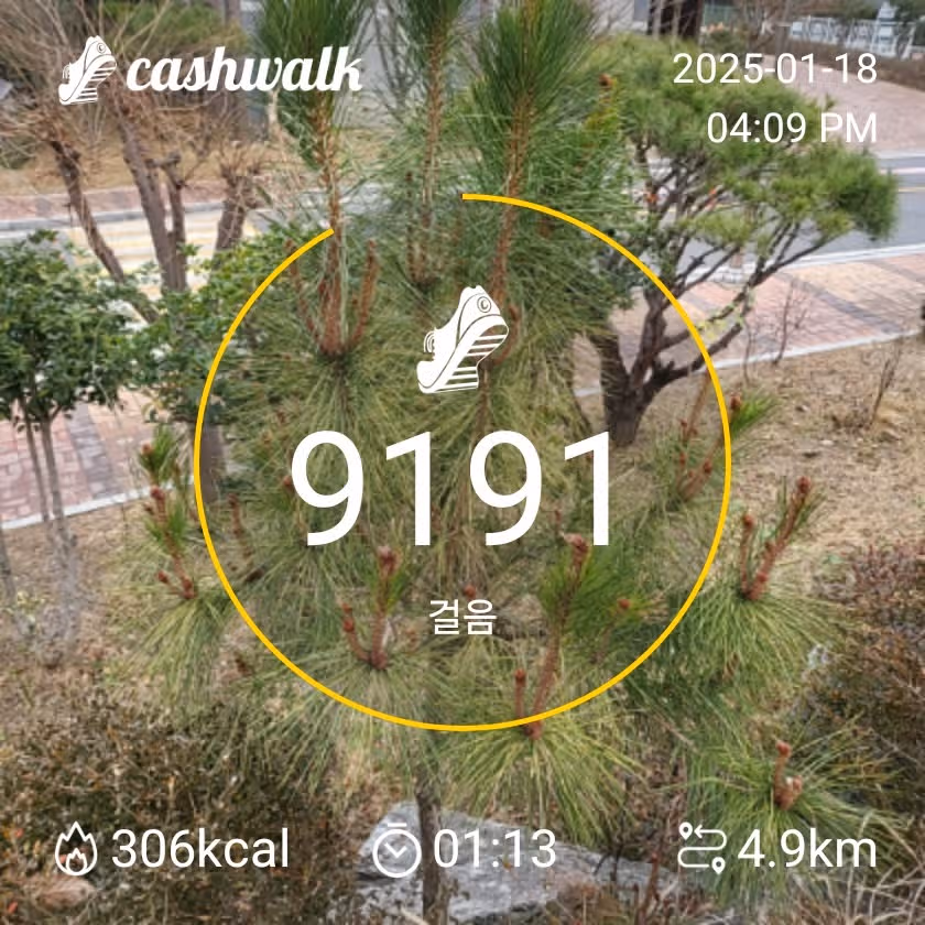 인증